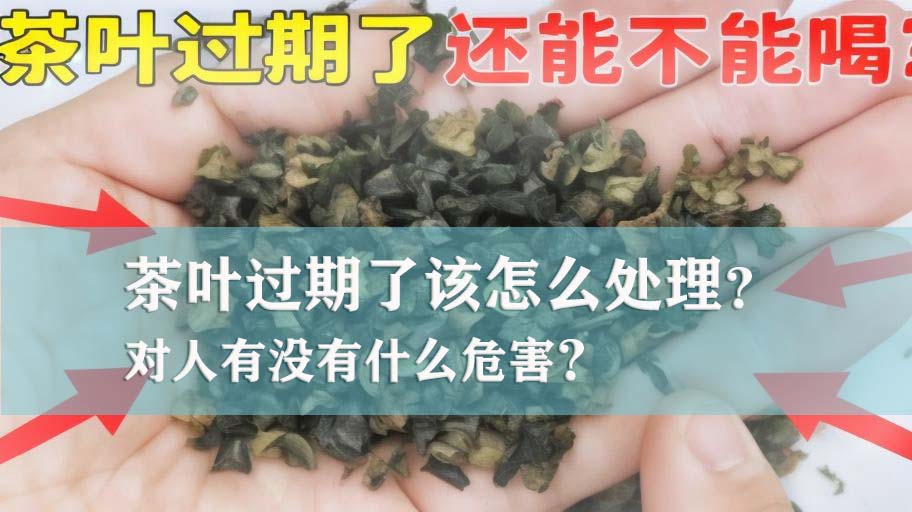 广州过期茶叶销毁